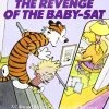 Andrews McMeel Publishing Graphic Novels Calvin & Hobbs Vol. 8: Revenge Of The Baby-Sat TP
