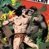 Tarzan: Unauthorized Tarzan HC (Dark Horse Archives) Graphic Novels