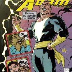 DC Comics BLACK ADAM #1 CVR G INC 1:50 CULLY HAMNER CARD STOCK VAR Single Issues Comics