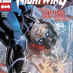DC Comics Single Issues Comics Nightwing: Annual #2
