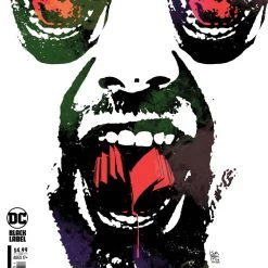 DC Comics Single Issues Comics SANDMAN UNIVERSE NIGHTMARE COUNTRY #2 CVR B