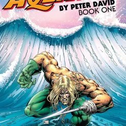 DC Comics Aquaman By Peter David Vol. 1 TP Graphic Novels