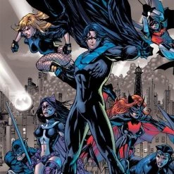 DC Comics Graphic Novels Batman: Battle For The Cowl TP