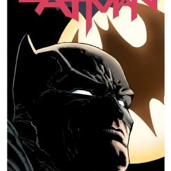 DC Comics Batman Vol. 1: I Am Gotham TP (Rebirth)