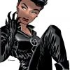 DC Comics Catwoman Vol. 1: Trail Of The Catwoman TP Graphic Novels