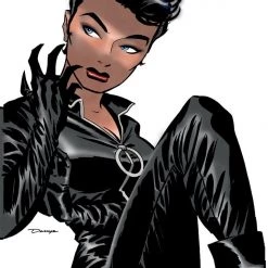 DC Comics Catwoman Vol. 1: Trail Of The Catwoman TP Graphic Novels