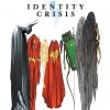 DC Comics Graphic Novels Identity Crisis TP (New Edition)