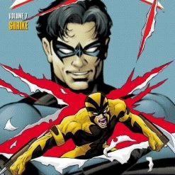 DC Comics Nightwing Vol. 7: Shrike TP Graphic Novels