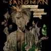 DC Comics Graphic Novels Sandman Vol. 10: Wake TP (30th Anniversary)