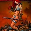 Dynamite Graphic Novels Red Sonja: She-Devil With A Sword - Omnibus Vol. 2 TP