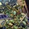 IDW Publishing Teenage Mutant Ninja Turtles: Heroes HC