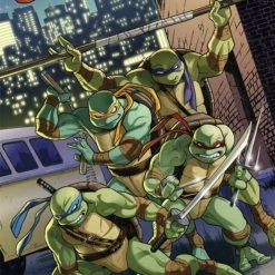IDW Publishing Teenage Mutant Ninja Turtles: Heroes HC
