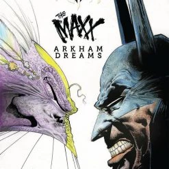 IDW Publishing Batman/Maxx: Arkham Dreams HC