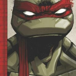 IDW Publishing Graphic Novels Teenage Mutant Ninja Turtles: IDW Collection Vol. 1 HC