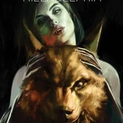 Image Comics KILLADELPHIA #22 COVER B BONETTI Single Issues Comics