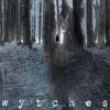 Image Comics Wytches Vol. 1 TP Graphic Novels