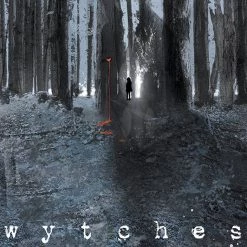 Image Comics Wytches Vol. 1 TP Graphic Novels