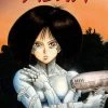 Kodansha Battle Angel Alita: Deluxe Edition - Vol. 1/2 HC Manga