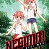 Kodansha Negima!: Magister Negi Magi - Omnibus Vol. 8 Manga
