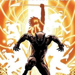 Marvel Black Panther: Nation Under Our Feet Vol. 2 TP Graphic Novels