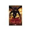 Marvel Black Panther: Who Is The Black Panther TP