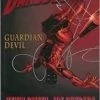 Marvel Daredevil: Guardian Devil Graphic Novels