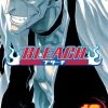 Viz Media Bleach Vol. 13 Manga