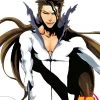 Viz Media Manga Bleach Vol. 48