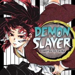 Viz Media Manga Demon Slayer: Kimetsu No Yaiba Vol. 20
