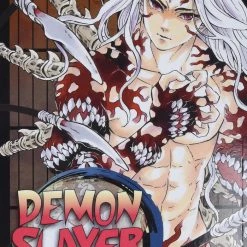 Viz Media Demon Slayer: Kimetsu No Yaiba Vol. 22