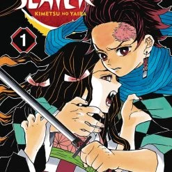 Viz Media Demon Slayer: Kimetsu No Yaiba Vol. 1 Manga
