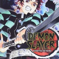 Viz Media Demon Slayer Vol. 10 Manga