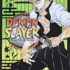 Viz Media Demon Slayer Vol. 17