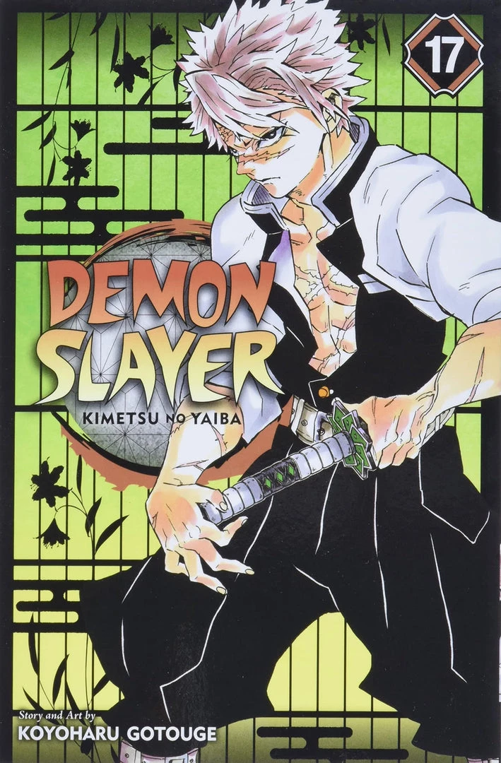 Viz Media Demon Slayer Vol. 17