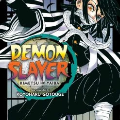 Viz Media Demon Slayer Vol. 19 Manga