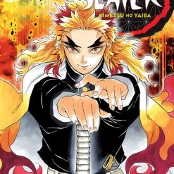 Viz Media Demon Slayer Vol. 8