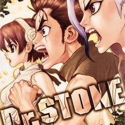 Viz Media Manga Dr. Stone Vol. 2