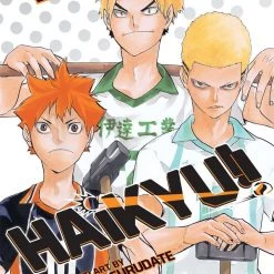 Viz Media Manga Haikyu!! Vol. 15
