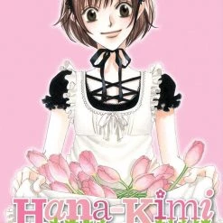 Viz Media Hana-Kimi 3-in-1: Vol. 13/14/15
