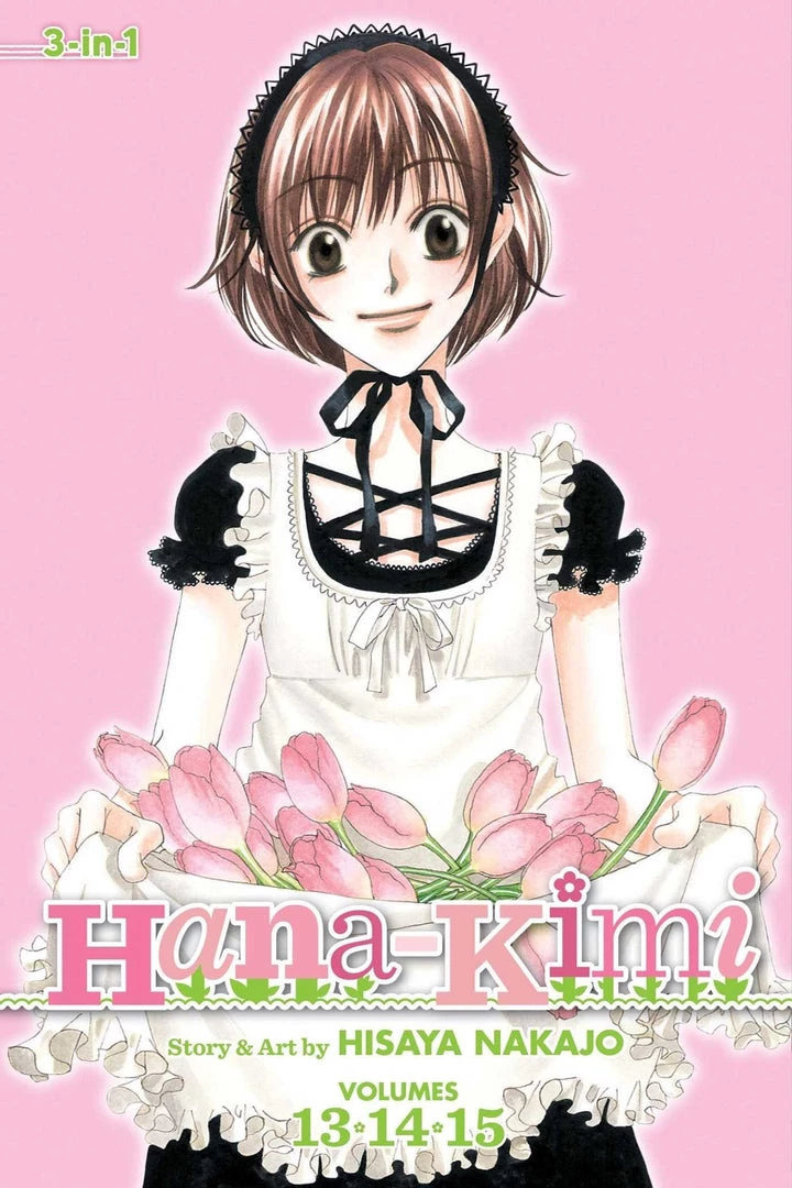 Viz Media Hana-Kimi 3-in-1: Vol. 13/14/15