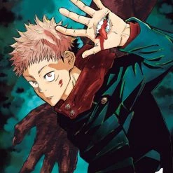 Viz Media Jujutsu Kaisen Vol. 1